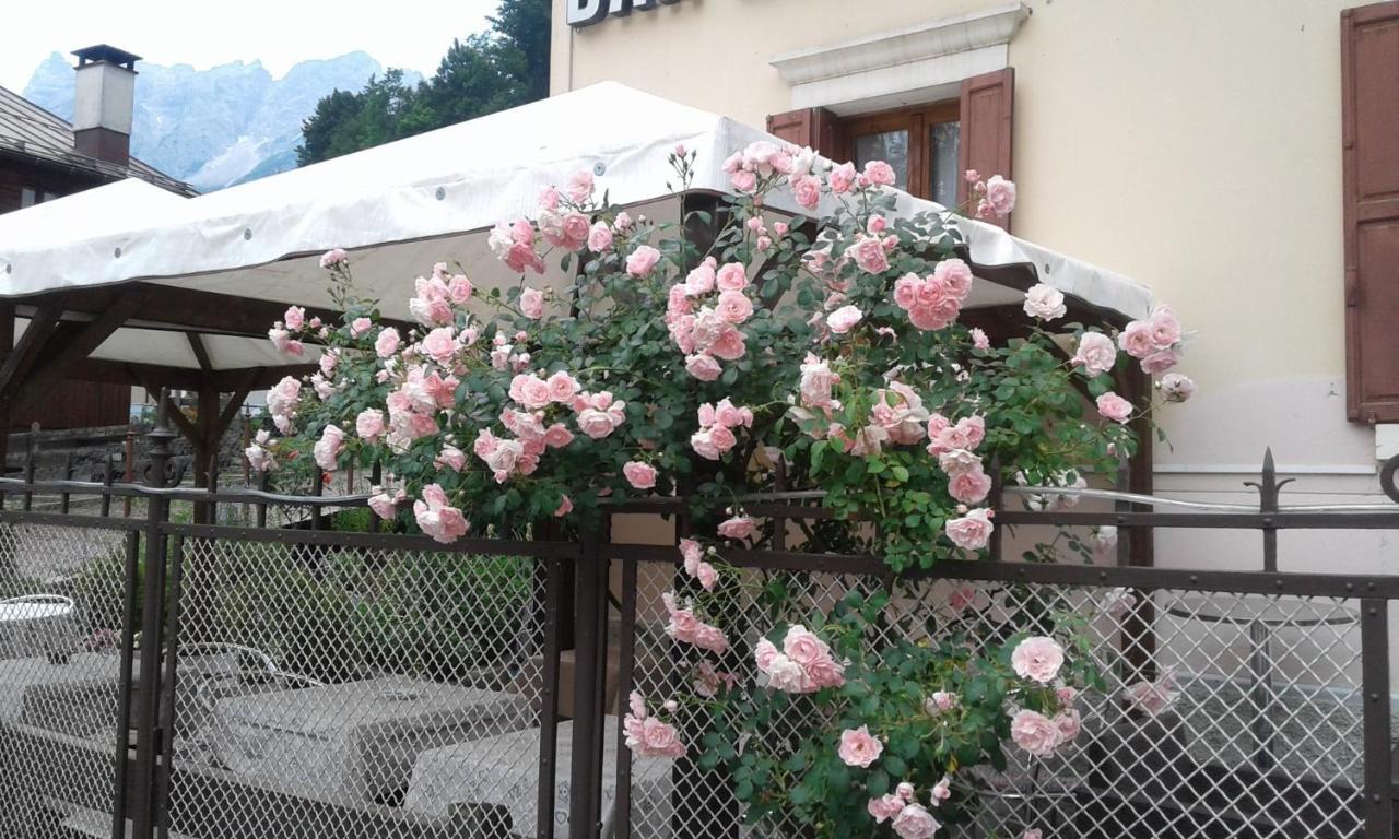 Hotel Brustolon Dont Exterior foto