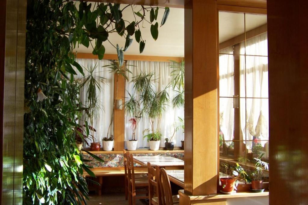 Hotel Brustolon Dont Exterior foto
